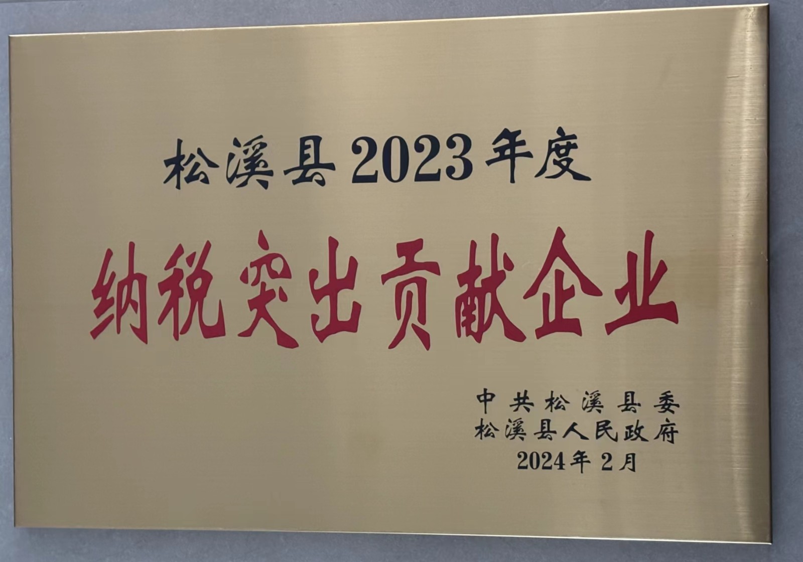 喜報！易順建工集團(tuán)榮獲“松溪縣2023年度納稅突出貢獻(xiàn)企業(yè)”稱號